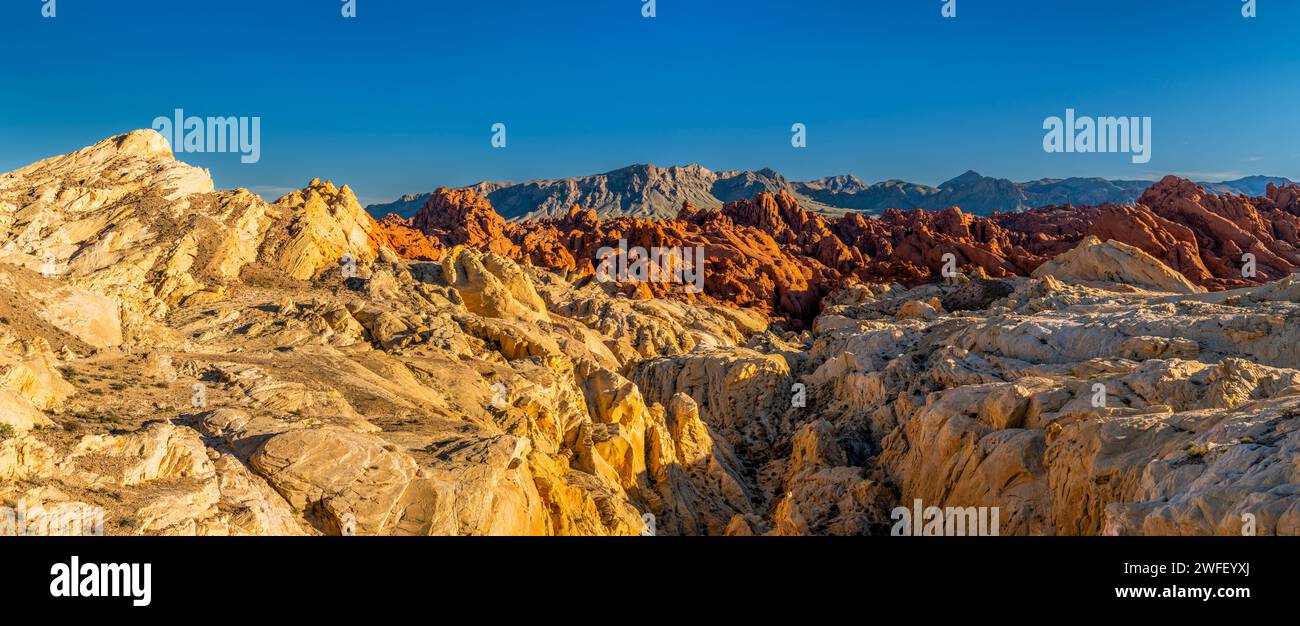 Felsformation in der Wüste, Nevada, USA Stockfoto