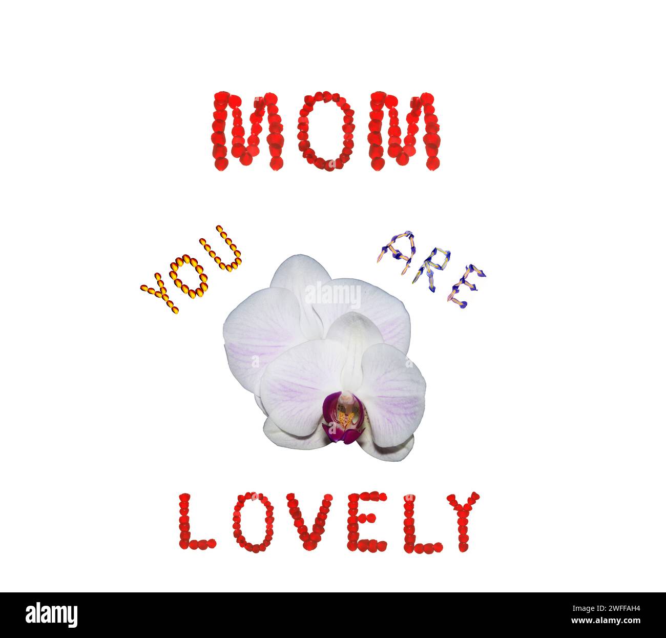 MAMA DU BIST LOVOELY in Flora Stillleben Bunte Rose & Iris Blüten & Kamelienblüten Liebe, Fürsorge und Hingabe. Orchideenblüte MON White. Stockfoto