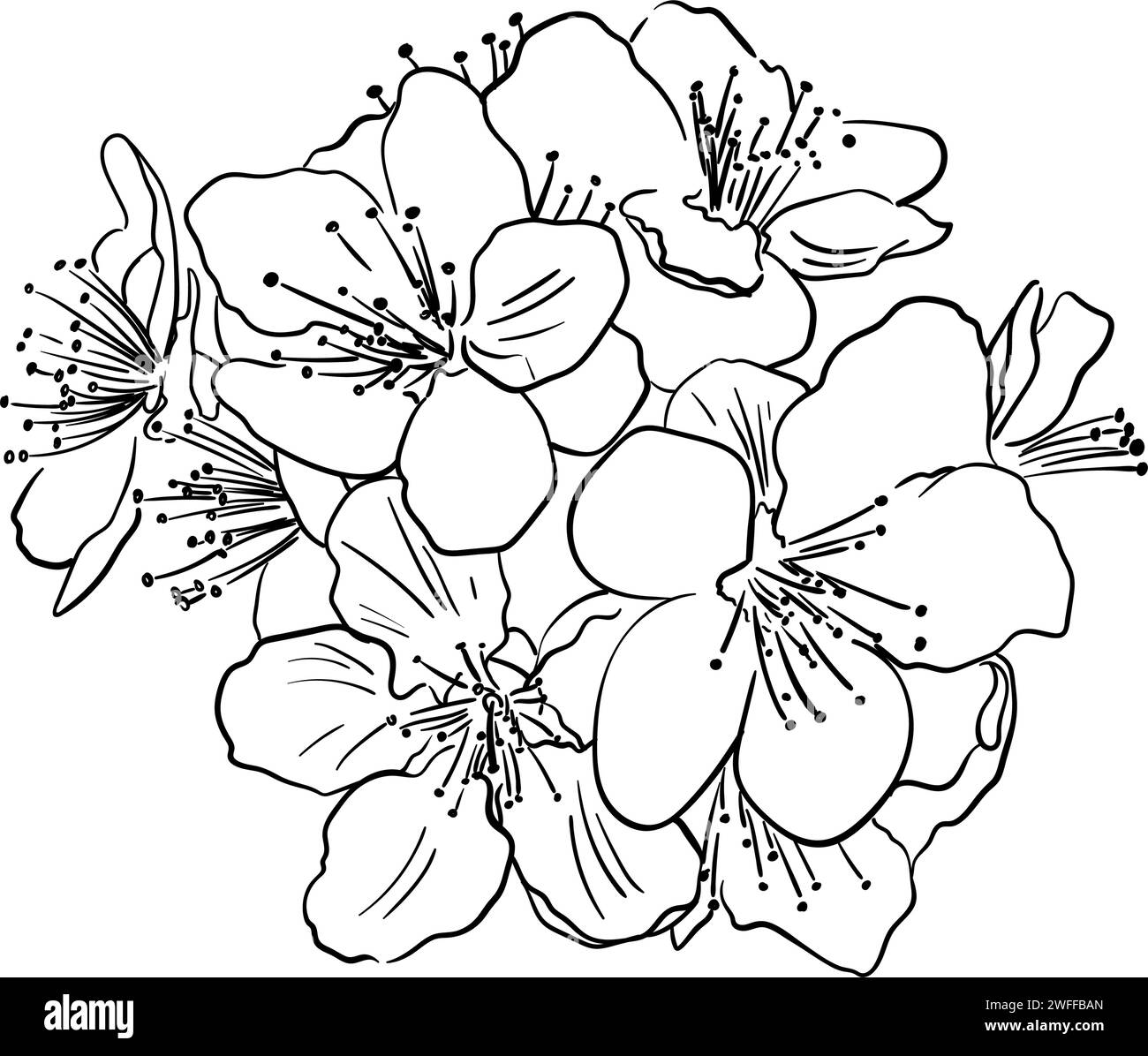 Handgezeichnete Vektorzeichnung im Doodle-Stil. Blühender Obstzweig, isoliert auf weißem Hintergrund. Zarte Blumen, Blütenblätter. Frühlingszeit, Sakura Stock Vektor