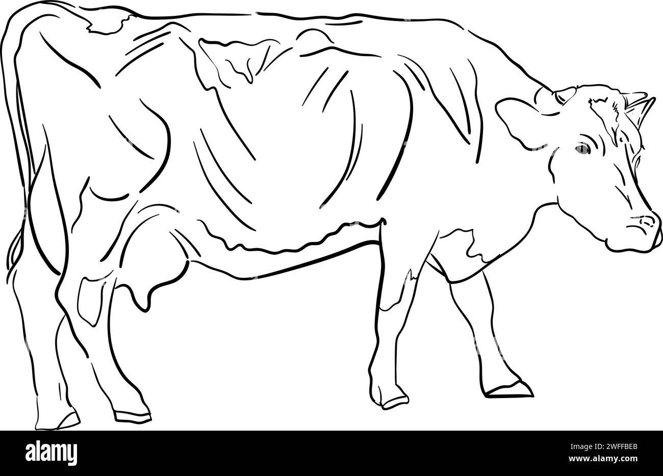 Konturlinienzeichnung einer einfachen Kuh auf weißem Hintergrund. Handgezeichnete minimalistische Vektor-Illustration. Doodle-STYLE. Stock Vektor