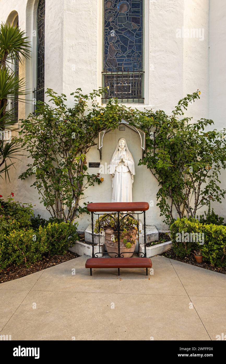 Santa Barbara, CA, USA - 19. Januar 2024: Portrait, St. Frances Xavier Cabrini weiße Statue vor dem Kirchenfenster der Schmerzensmutter. Sie ist umgeben Stockfoto