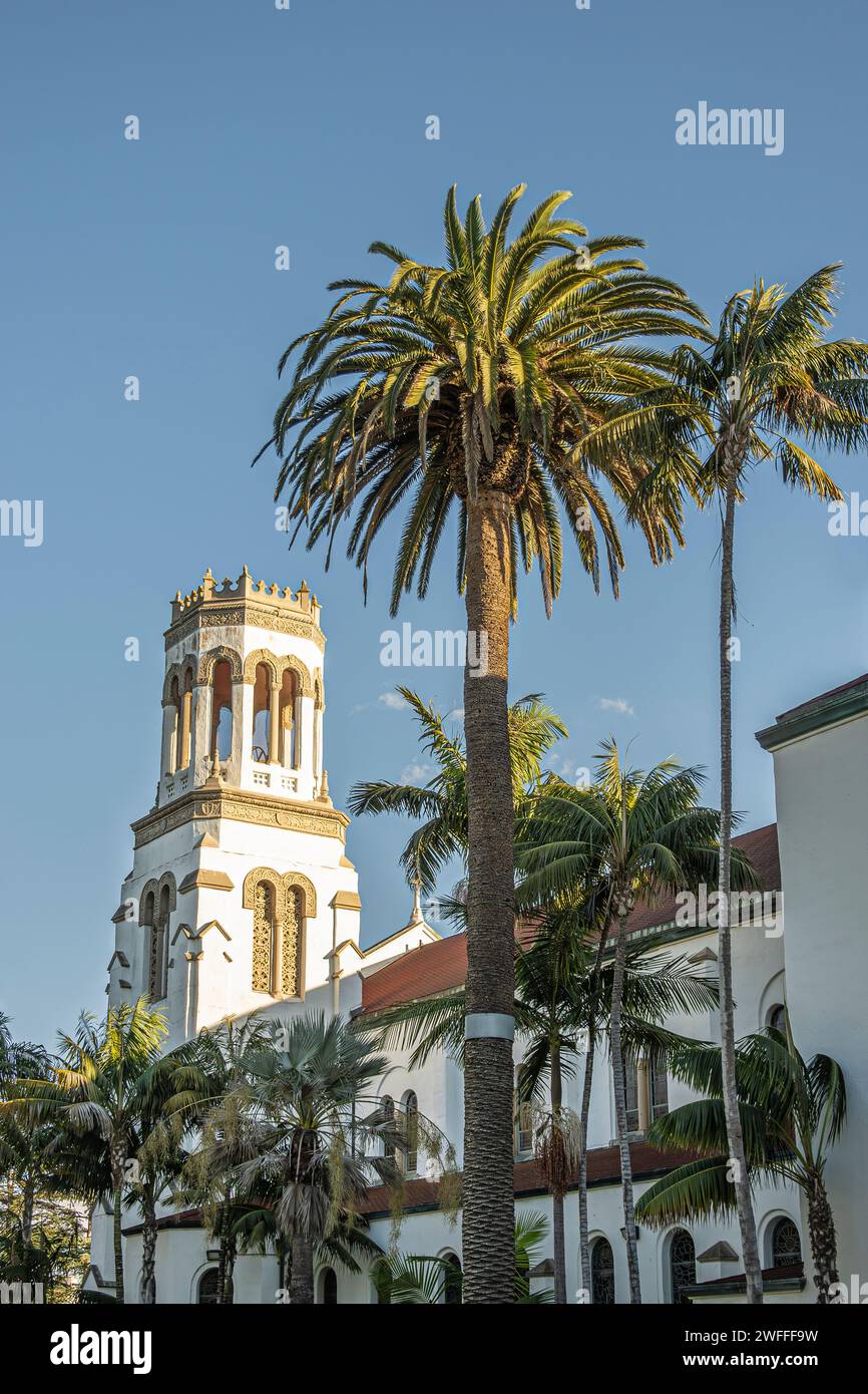 Santa Barbara, CA, USA - 19. Januar 2024: Turm der Kirche unserer Lieben Frau von Leid, Sonnenlicht vor blauem Himmel. Grünes Palmenlaub vor West f Stockfoto