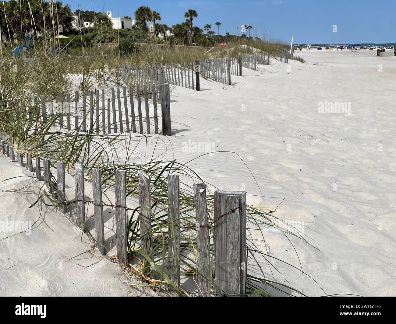 Waldzaun entlang der grasbewachsenen Dünen an den weißen Sandstränden von Sanibel Island Florida USA Stockfoto