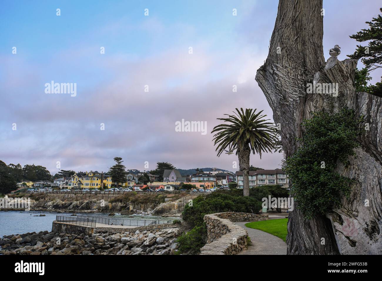 Farbenfrohe Küstenhäuser aus dem Lovers Point Park in Monterey Bay - Pacific Grove, Kalifornien Stockfoto