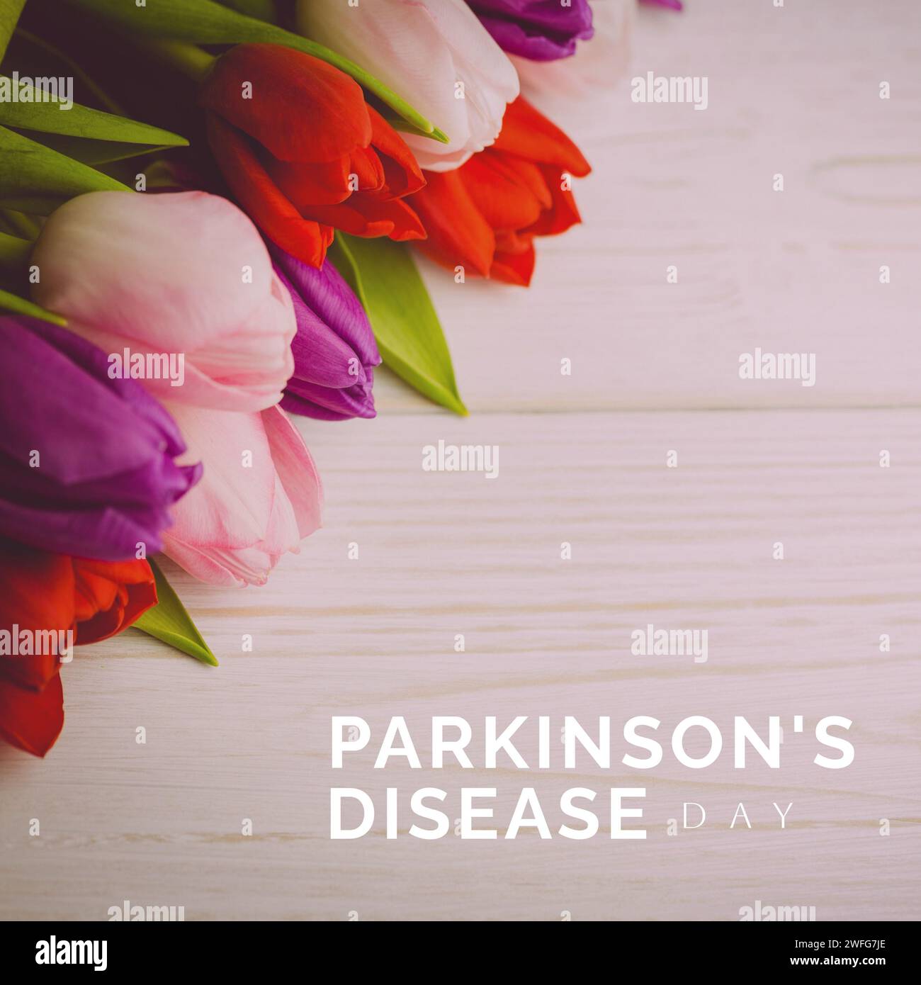 Zusammensetzung des parkinson-Tagestextes über mehrfarbigen Tulpen Stockfoto