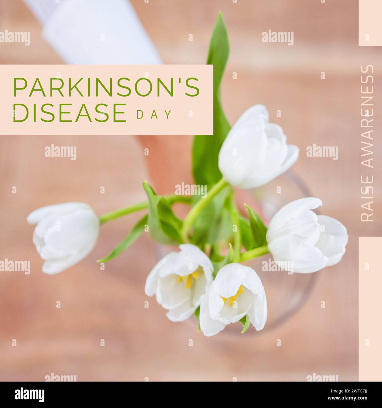 Zusammensetzung des parkinson-Tagestextes über Frau, die weiße Tulpen hält Stockfoto