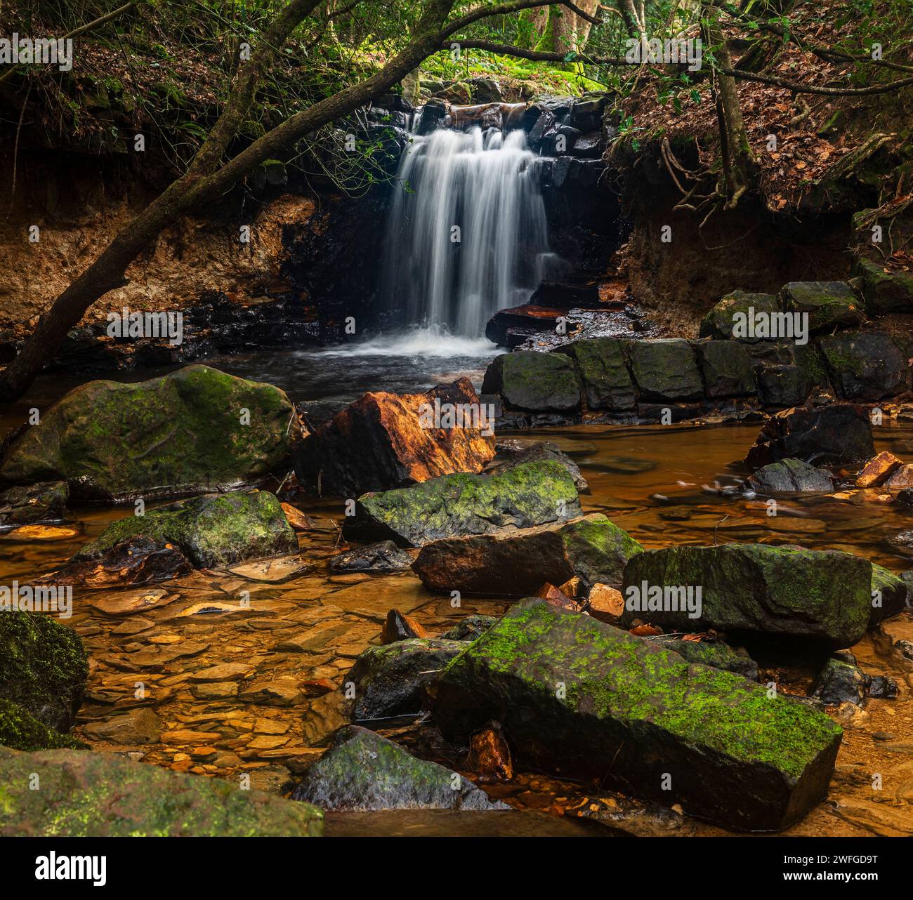 Garden of Eden Wasserfall im Ashdown Forest im Osten Sussex im Südosten Englands Großbritannien Stockfoto