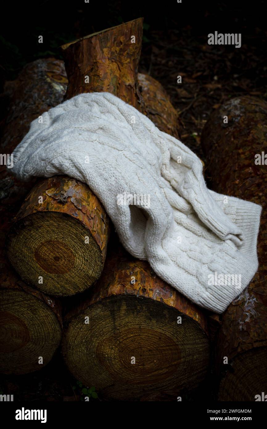 Weißer Strickpullover aus Wolle an gefällten Bäumen Stockfoto
