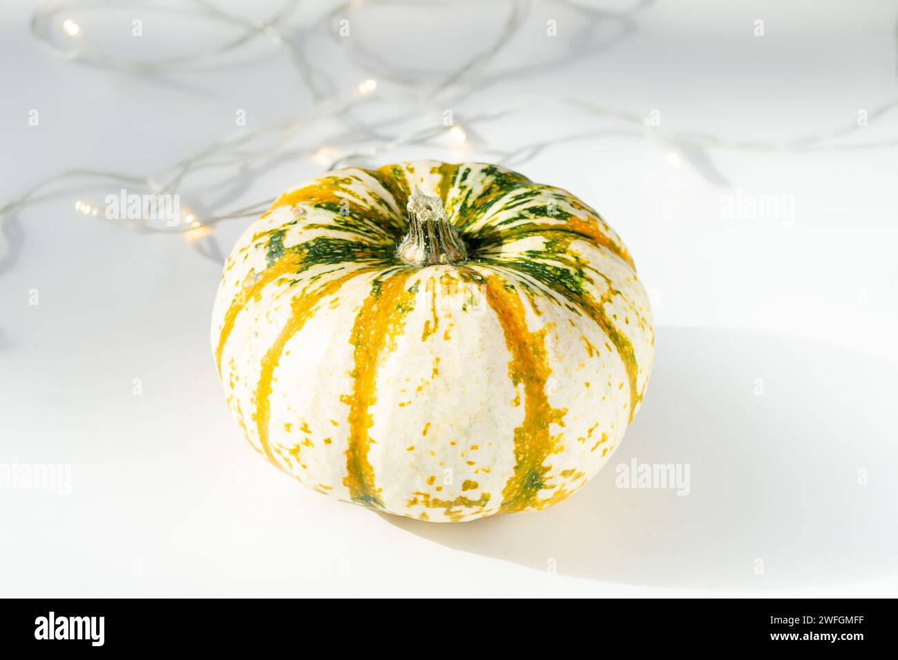 Kleiner mehrfarbiger Kürbis auf einem weißen Tisch Stockfoto