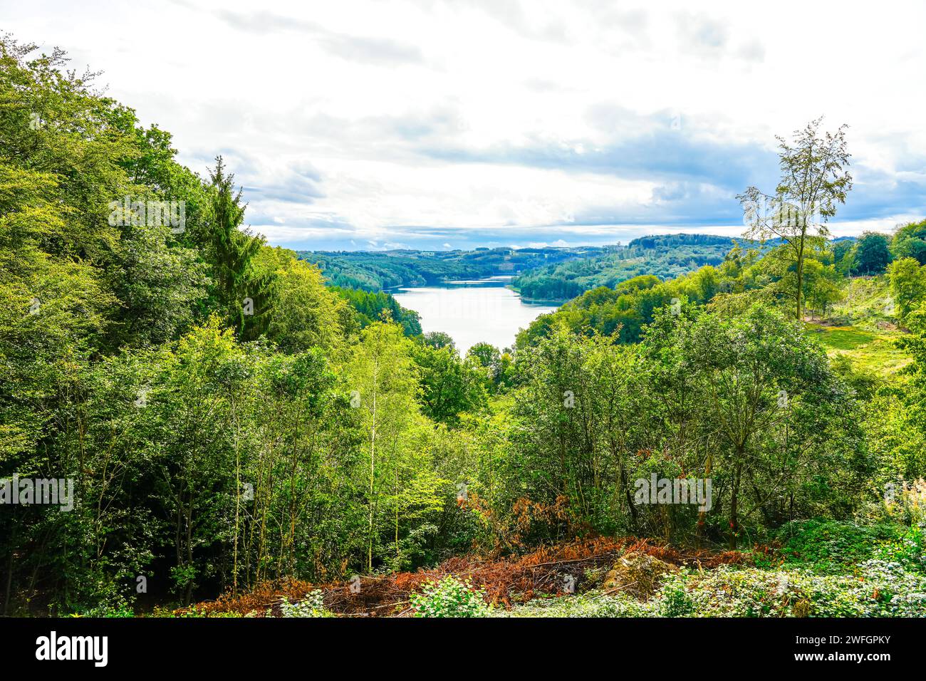 Blick auf die Wiehltalsperre und die umliegende grüne Natur. Idyllische Landschaft am See im Naturschutzgebiet Reichshof in Nordrhein-Westpha Stockfoto