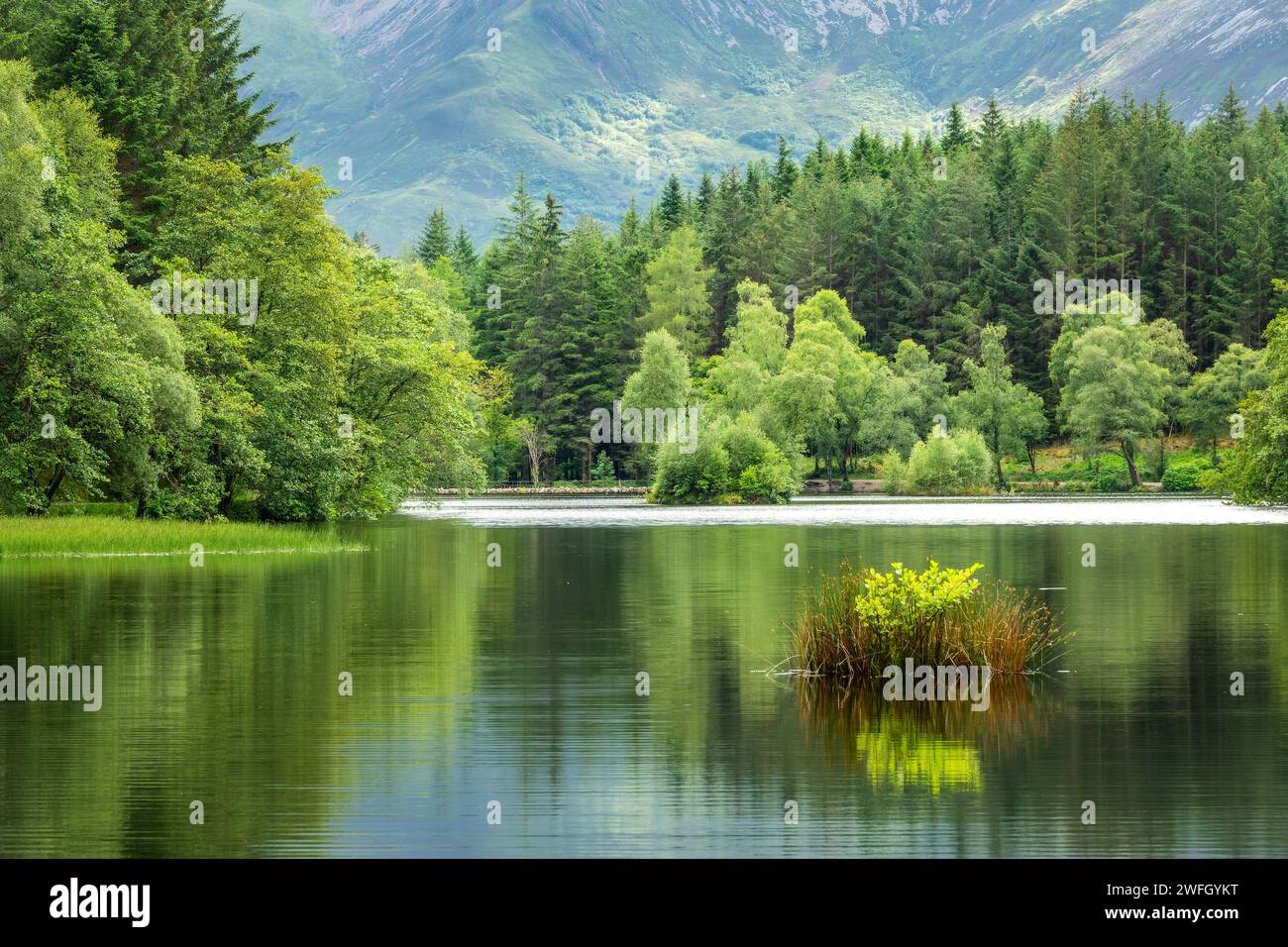 Lochan Sommerlandschaft in der Nähe von Glencoe in den Highlands von Schottland, Großbritannien Stockfoto