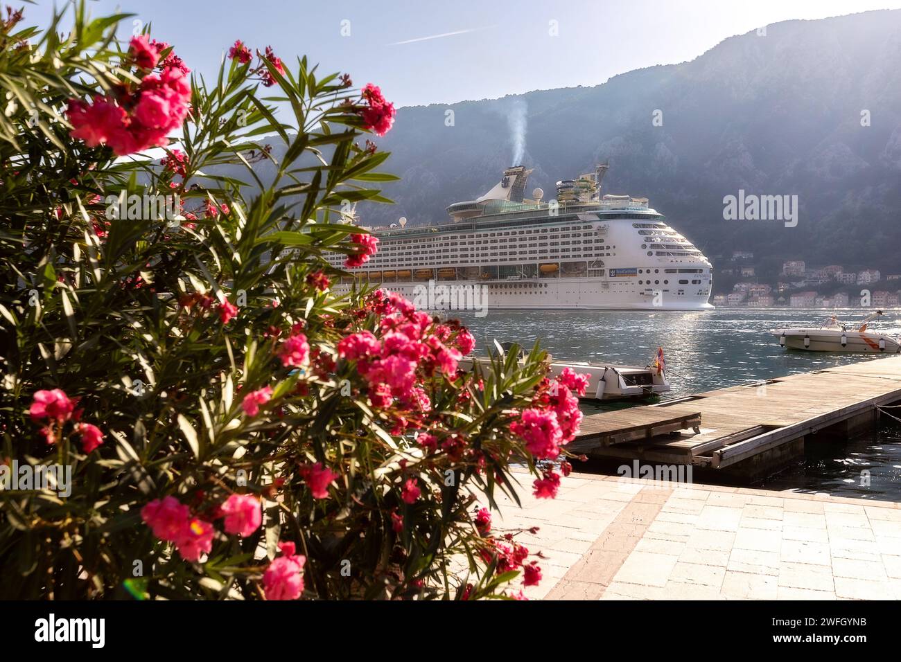 Kotor, Montenegro - 20. September 2023: Flowers and Explorer of the Seas, Kreuzfahrtschiff der Royal Caribbean in der Bucht von Kotor Stockfoto