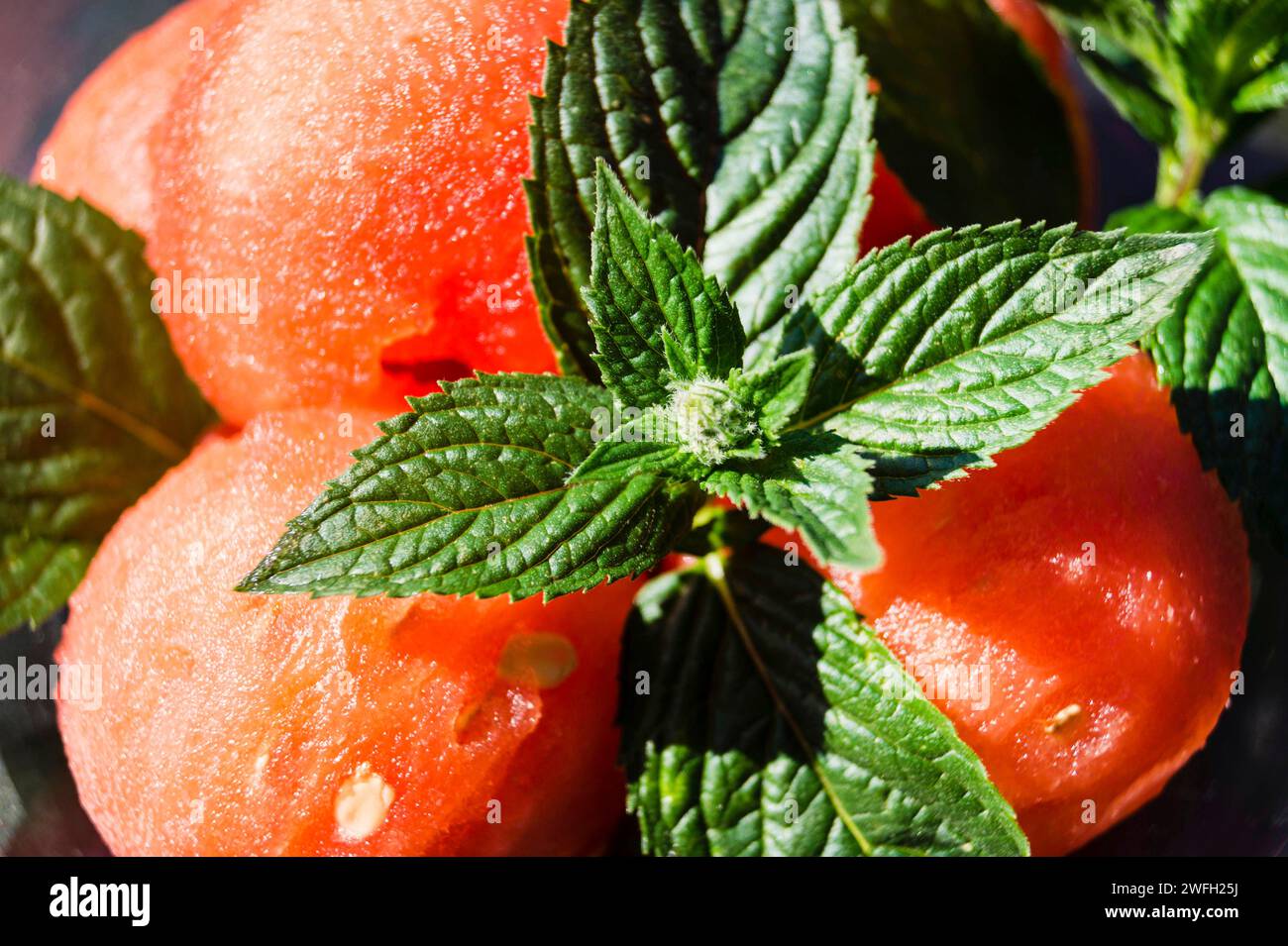 Wassermelone (Citrullus lanatus), Melonenstücke mit Minzblättern Stockfoto