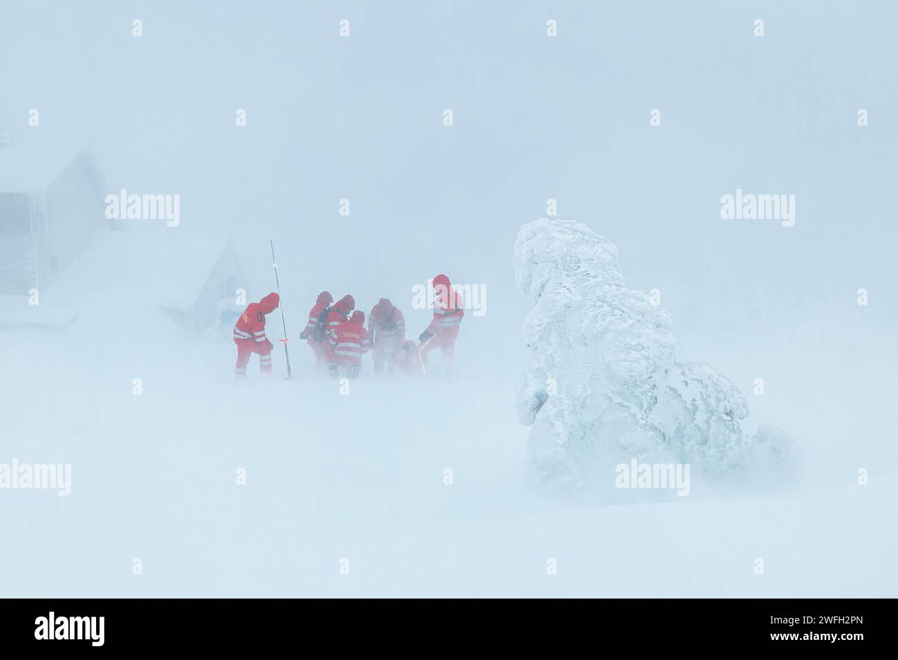 Sanitäter-Team des Rettungsdienstes, das im Winter während des Schneesturms in den Bergen hilft. Selektiver Fokus auf verschneiten Bäumen. Themen retten bei extremen Wetterbedingungen. Stockfoto