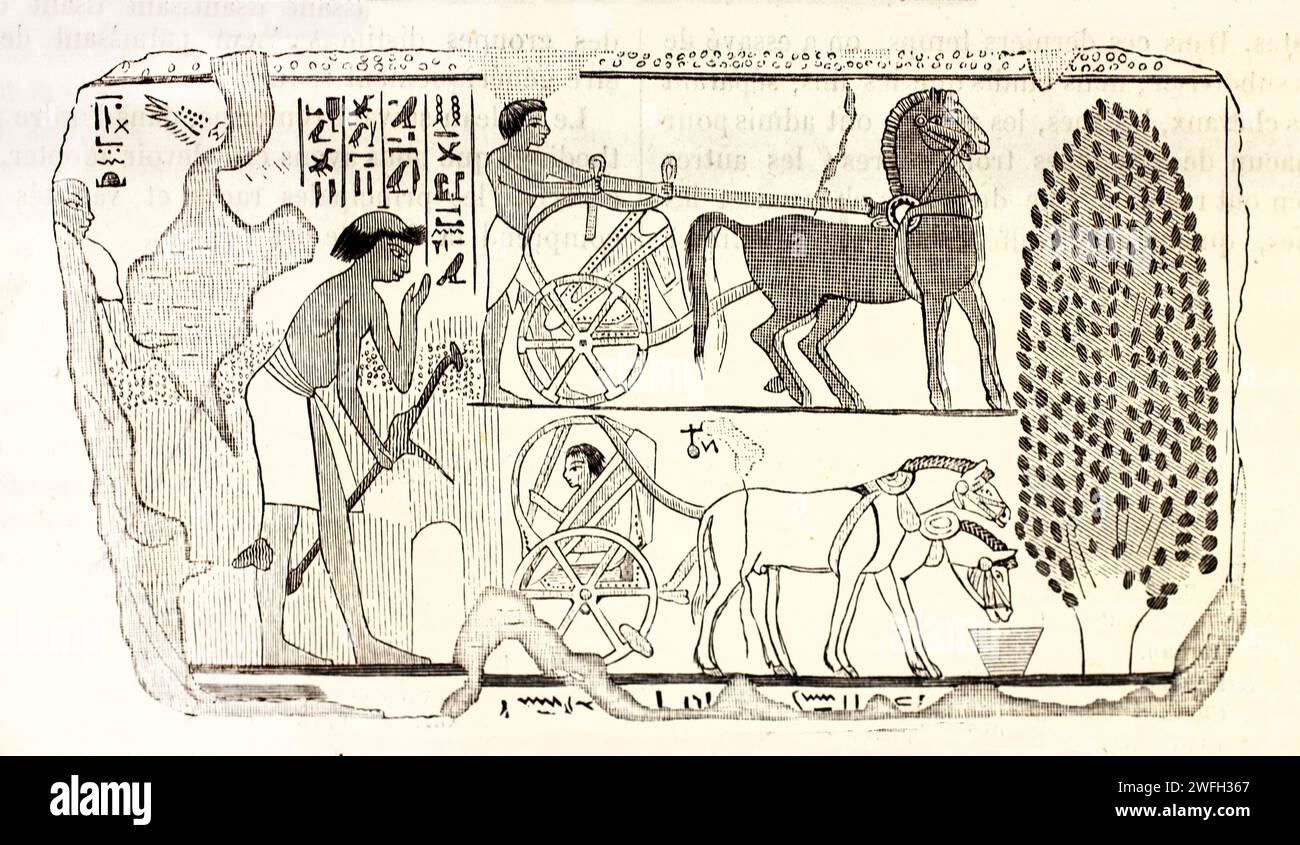 Alte gravierte Reproduktion von Egyprian Wandgemälde. Von unbekanntem Autor, veröffentlicht auf Brehm, Les Mammifers, Baillière et fils, Paris, 1878 Stockfoto