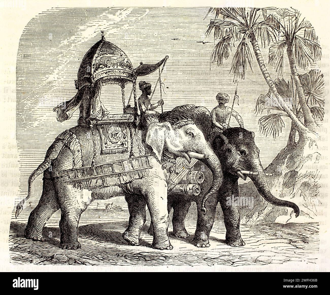 Alte gravierte Illustration von Elephas Maximus in Indien. Erstellt von Jolie, veröffentlicht auf Brehm, Les Mammifers, Baillière et fils, Paris, 1878 Stockfoto