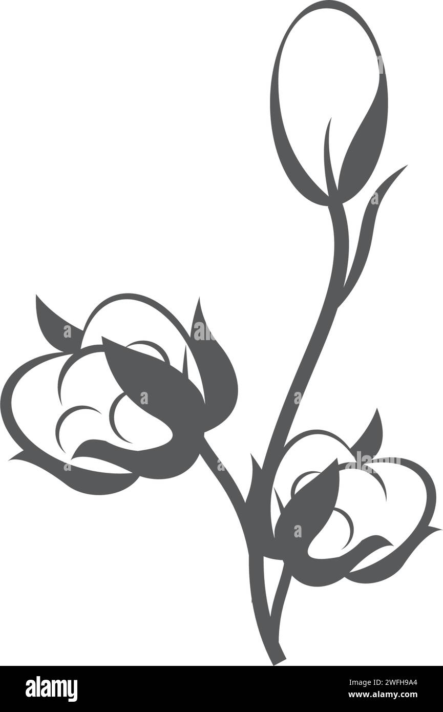 Baumwolle Blume Vektor Symbol Vorlage Symbol Natur Stock Vektor