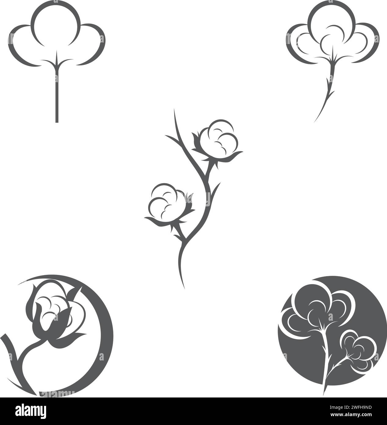 Baumwolle Blume Vektor Symbol Vorlage Symbol Natur Stock Vektor