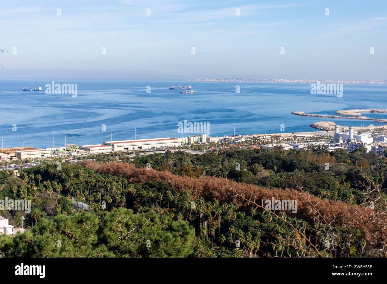 Hochwinkelansicht des Botanischen Gartens Hamma in Algier City. Stockfoto