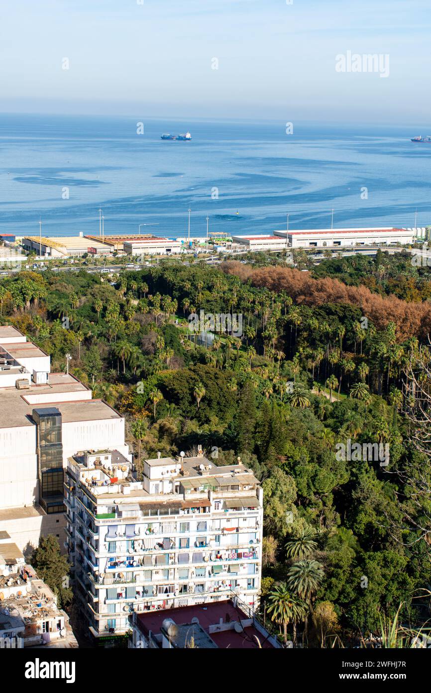 Hochwinkelansicht des Botanischen Gartens Hamma in Algier City. Stockfoto