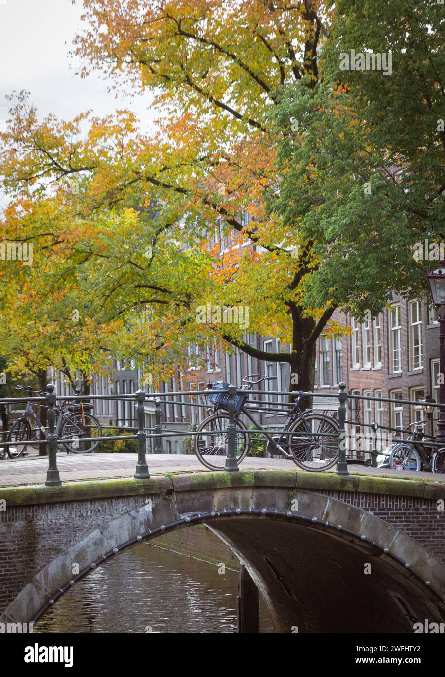 Eine Brücke mit Fahrrädern auf dem Kanal, herbstliche bunte Bäume, Amsterdam Stockfoto