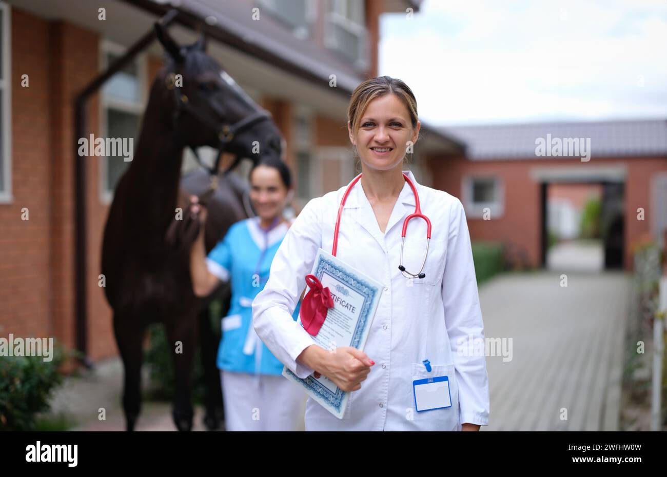 Frau Arzt Tierarzt mit ärztlicher Bescheinigung auf dem Hintergrund des Pferdes Stockfoto