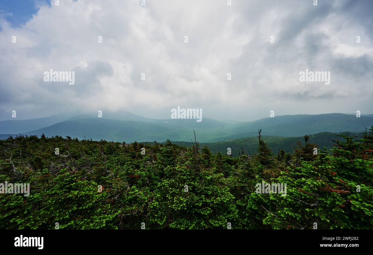 Blick vom South Kinsman Peak entlang der North and South Kinsman Peak Wanderung, White Mountains, New Hampshire, USA Stockfoto