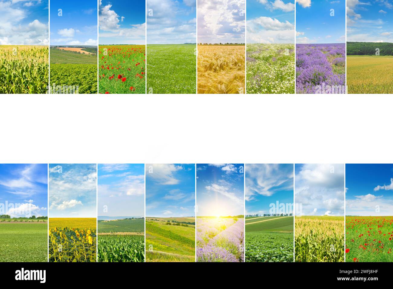 Landwirtschaftliche Felder und blauer Himmel. Fotocollage. Stockfoto