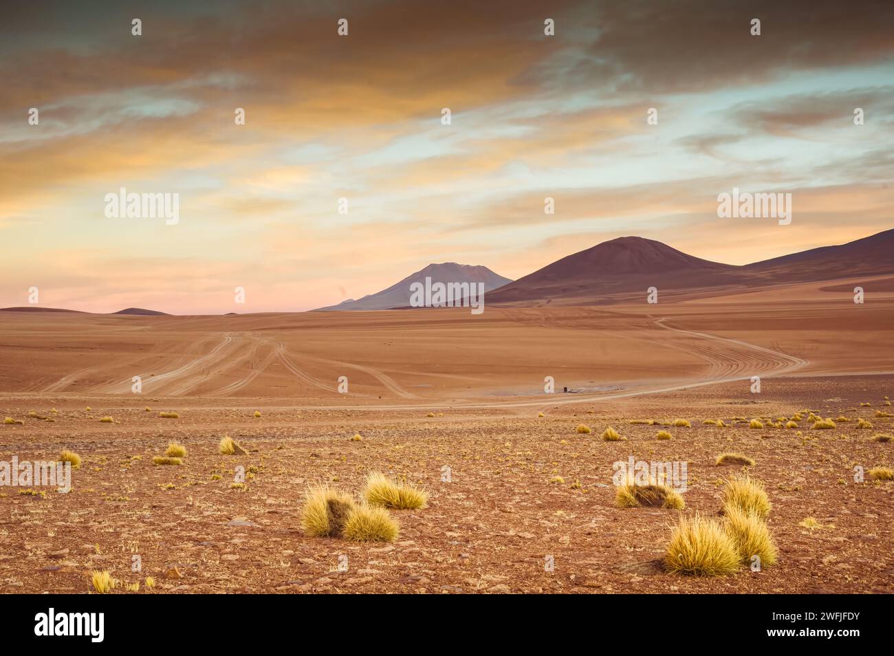 Goldene Stunde im bolivianischen Hochland Stockfoto