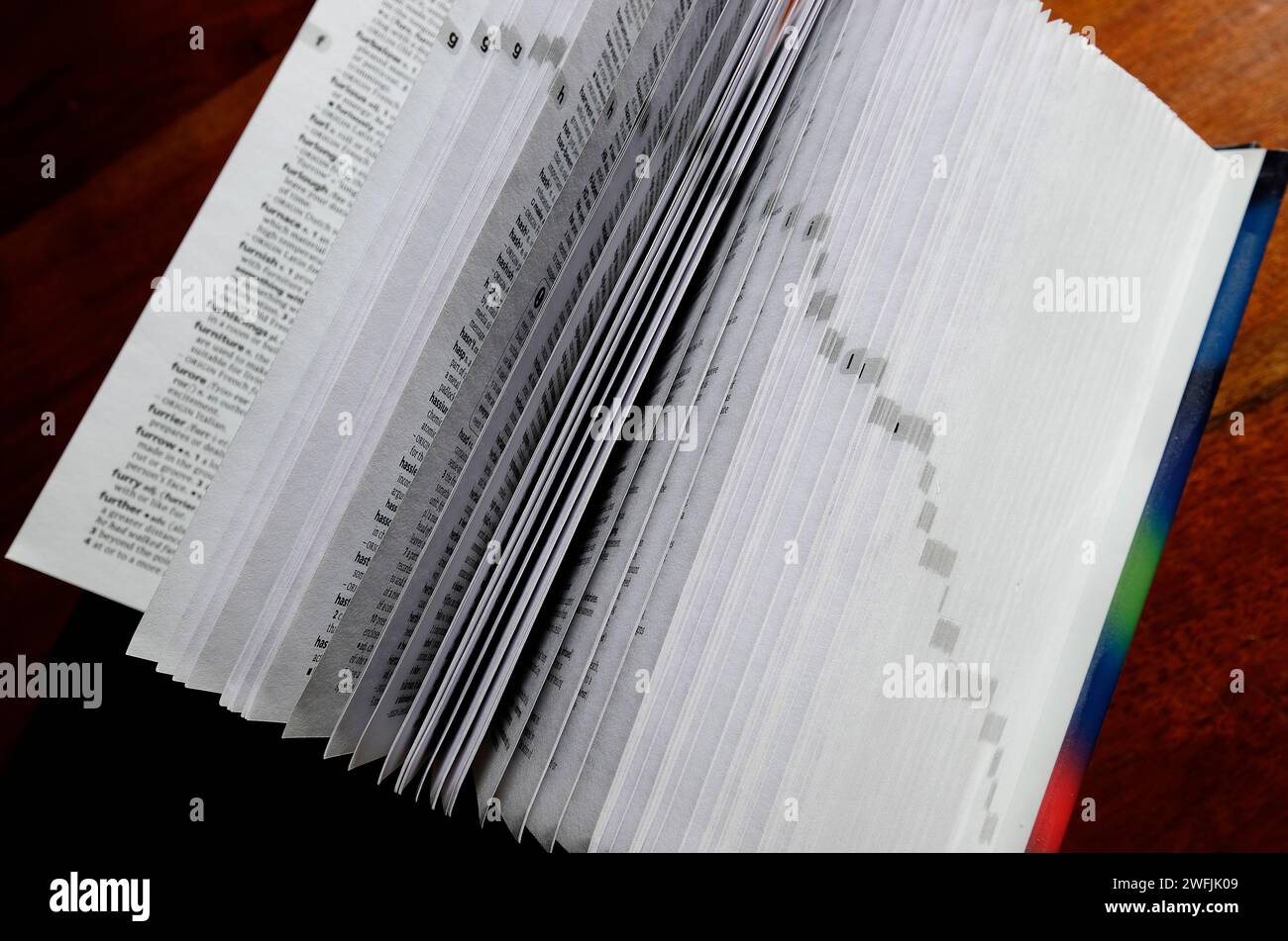 englische Wörterbuchseiten im geöffneten Buch Stockfoto