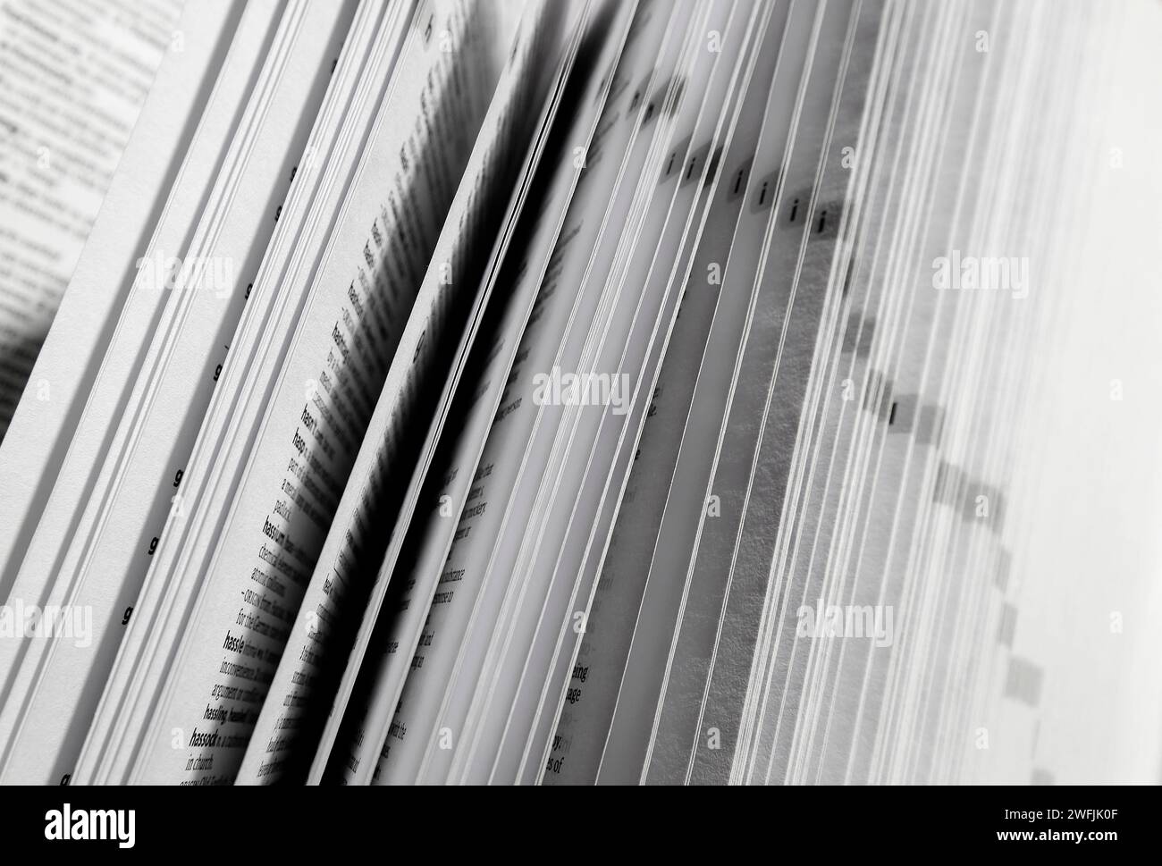 englische Wörterbuchseiten im geöffneten Buch Stockfoto