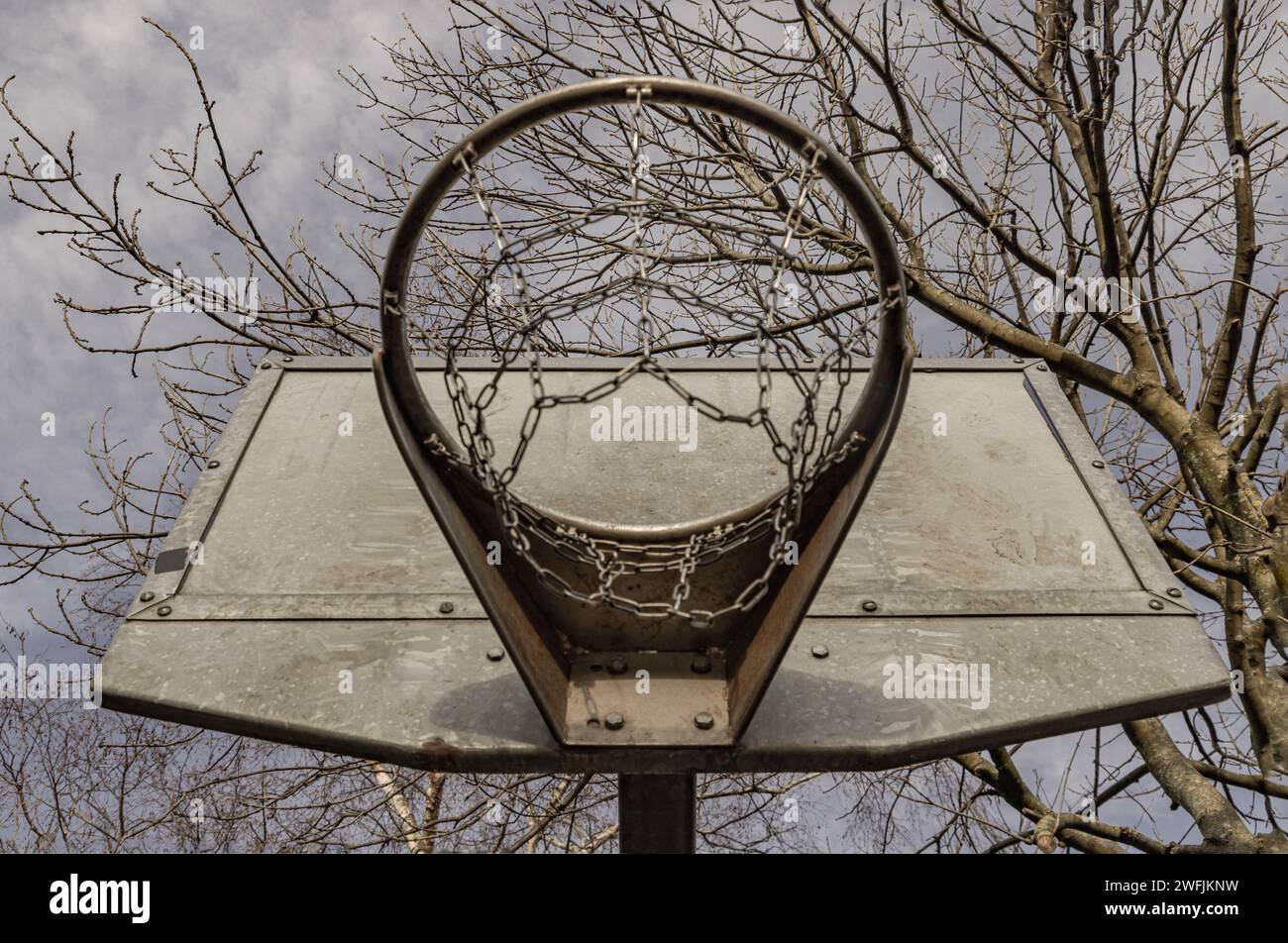 Edinburgh, Schottland, 19. Januar 2024 - Basketball-Rückwand aus Stahl mit Metallring und Stahlkettennetz gegen Äste und Himmel von unten gesehen. Stockfoto
