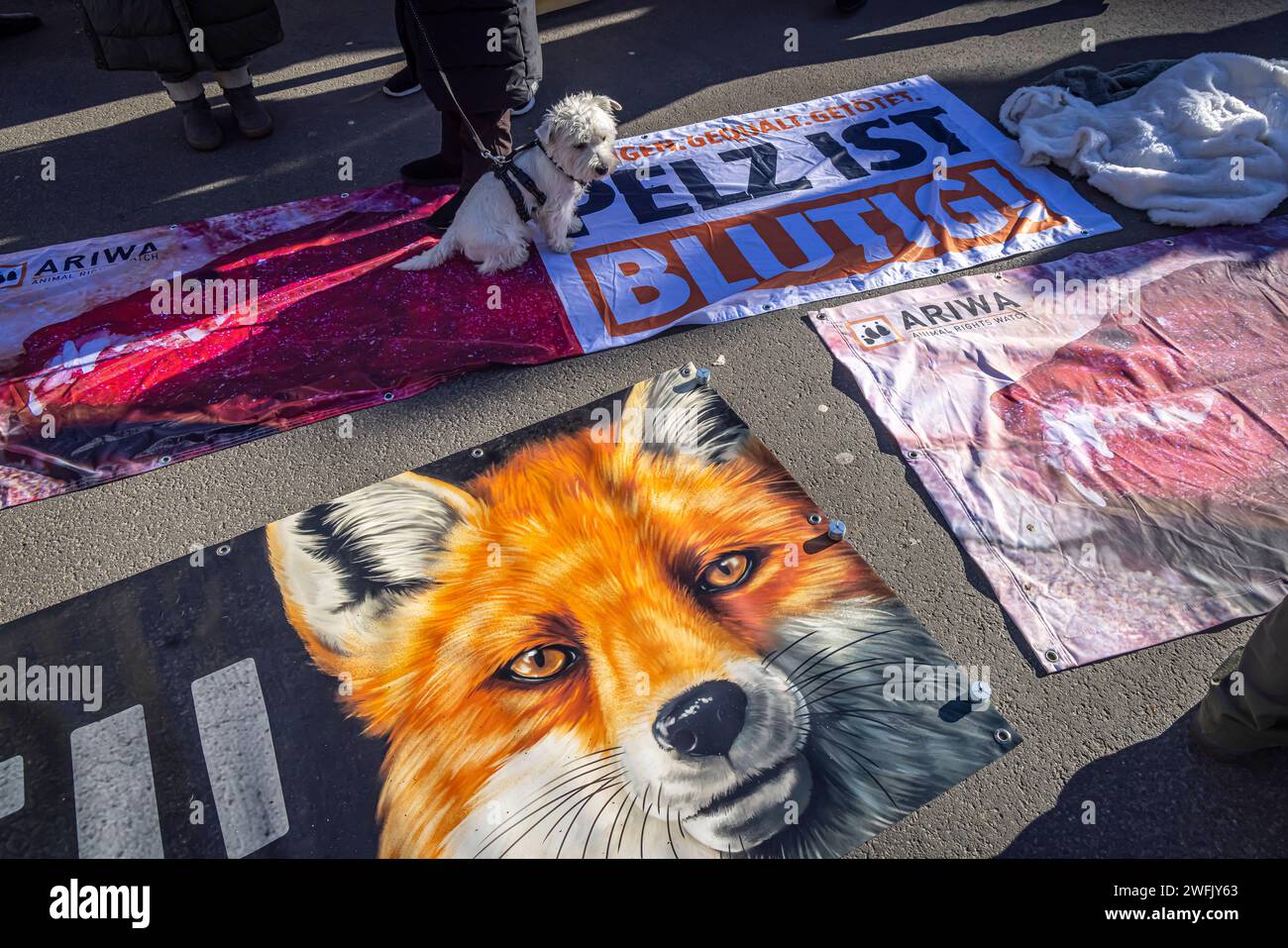 Demonstration und Kundgebung der Tierrechte Organisation Ariwa. Die Demonstranten fordern vegane Ernährung und Verzicht auf Pelz und Lederbekleidung. // 27.01.2024: Frankfurt am Main, Hessen, Deutschland, Europa *** Demonstration und Kundgebung der Tierschutzorganisation Ariwa die Demonstranten fordern eine vegane Ernährung und den Verzicht auf Pelz- und Lederbekleidung 27 01 2024 Frankfurt am Main, Hessen, Deutschland, Europa Stockfoto