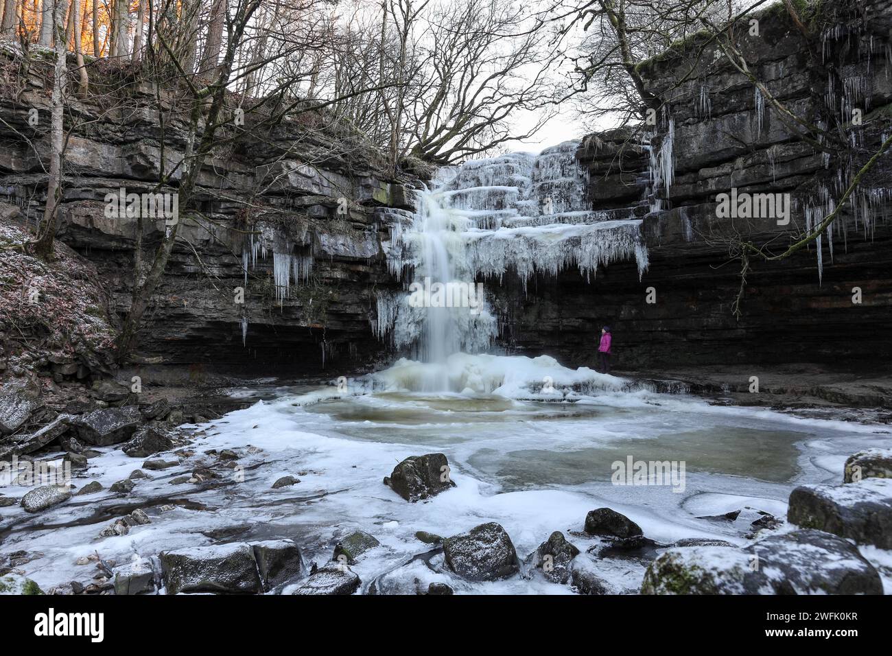 Walker genießt den Anblick der Summerhill Force in Winter, Bowlees, Teesdale, County Durham, Großbritannien Stockfoto