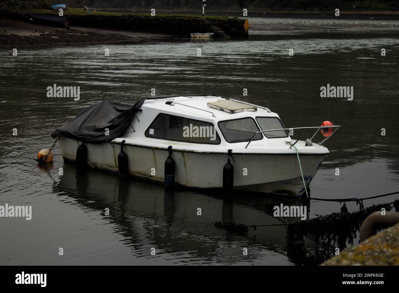 Altes, weißes Boot, das an Einem Fluss in Cornwall (England) vertäut ist Stockfoto