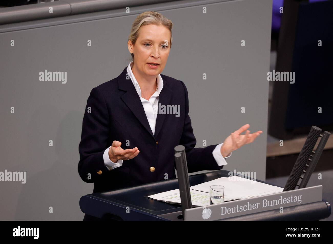 Alice Weidel , AfD, Deutschland, Berlin, Deutscher Bundestag, 150