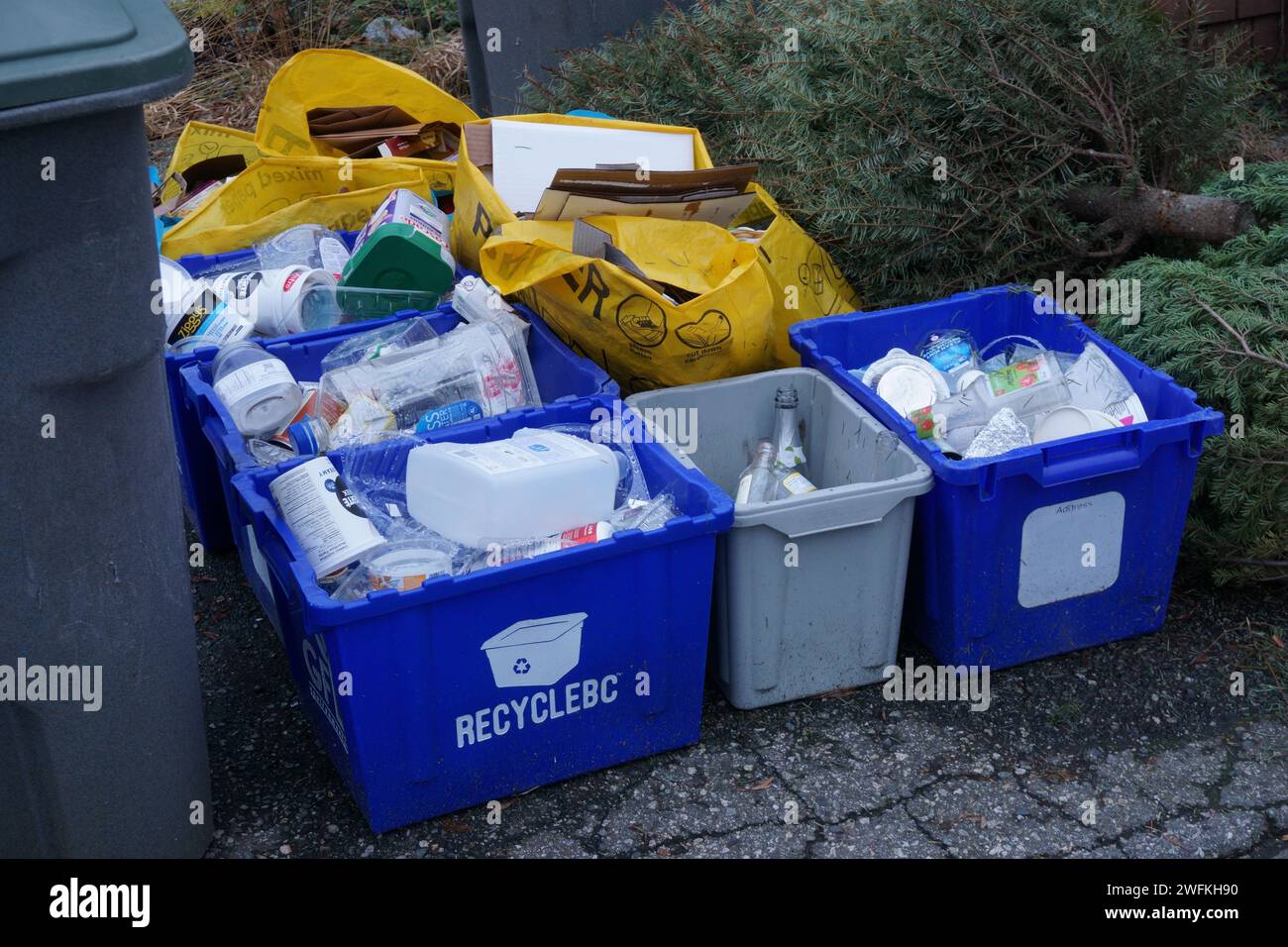 Mülltonnen und -Beutel mit Abfall, die darauf warten, zum Recycling abgeholt zu werden, Vancouver, BC, Kanada Stockfoto