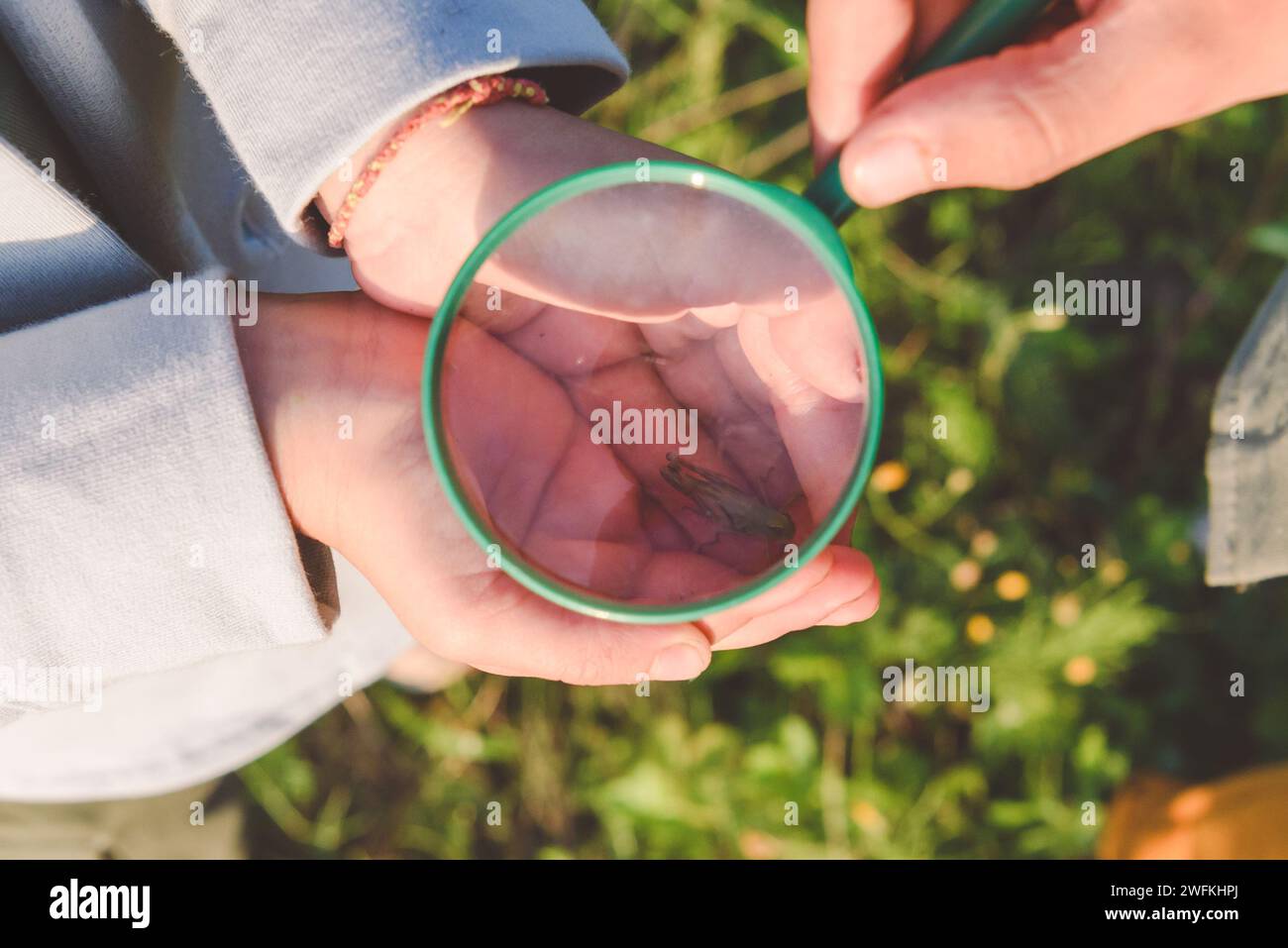 Kinder, die Heuschrecken durch Lupe betrachten Stockfoto