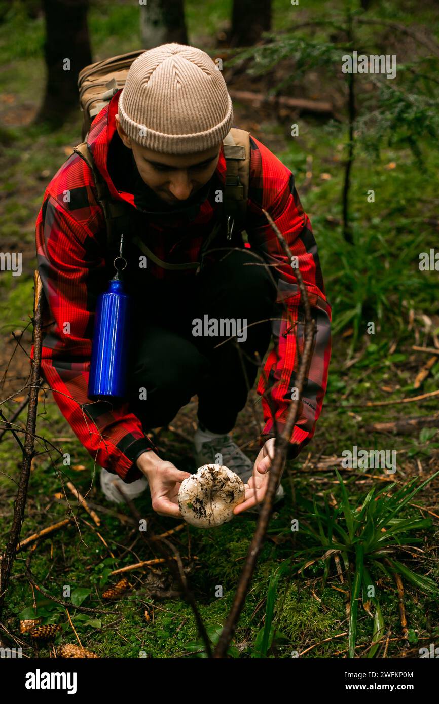 Männliche Hände halten einen frisch geernteten Pilz auf einem Grasgrund. Nahaufnahme. Draufsicht. Pilze im Wald pflücken. Stockfoto