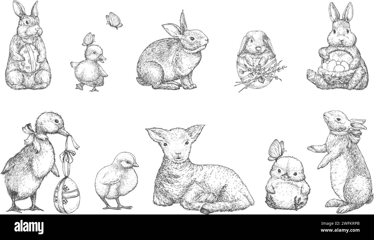 Hand Gezeichnet Niedliche Frühlingstiere Vektor Illustrationen Set. Kleine Hase, Kaninchen, Enten, Huhn und Lamm mit Bändern und Eiern Sketches Kollektion Stock Vektor
