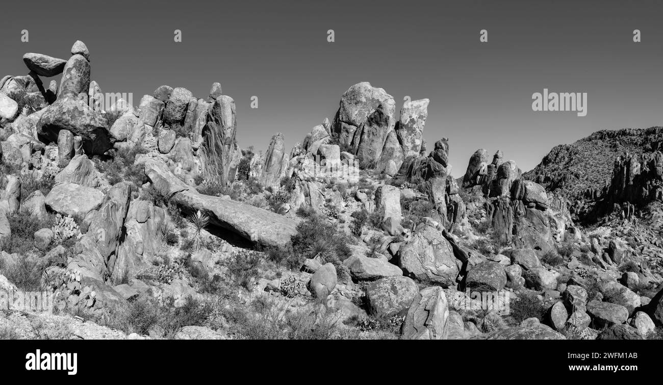 Panoramablick auf die Balanced Rock Formation. Big Bend National Park, Texas, USA. Stockfoto