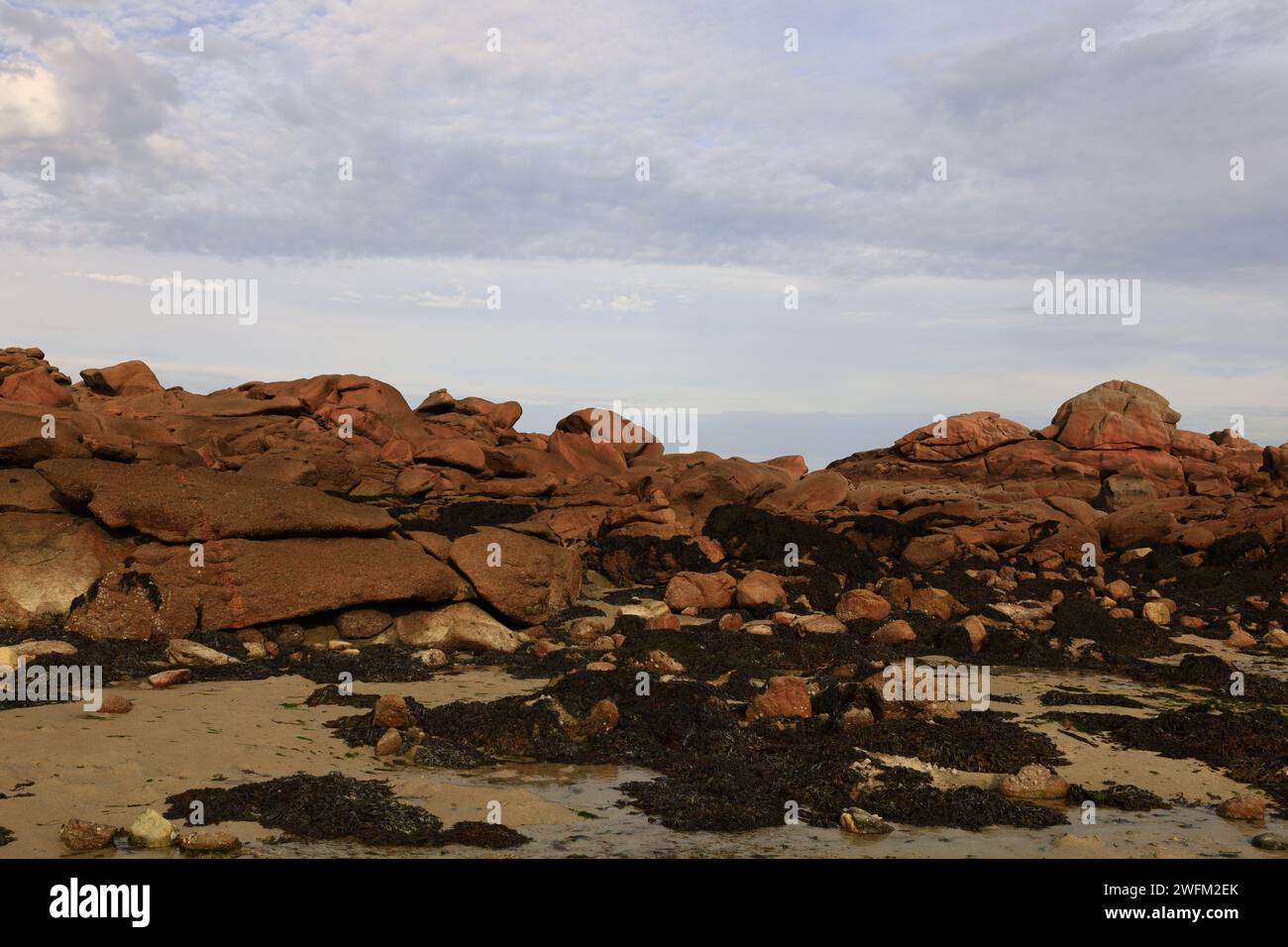 Renote Island ist eine Insel, die zur französischen Gemeinde Trégastel im Departement Côtes-d'Armor in der Bretagne gehört. Stockfoto