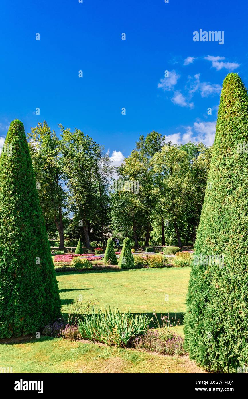 St. Petersburg, Russland - 23. August 2023: Brunnen von Peterhof. Blick auf die römischen Brunnen im unteren Park des Peterhofs. Schöner Garten mit grünem Gras, Sträuchern und Blumen und dekorativen Bäumen Stockfoto