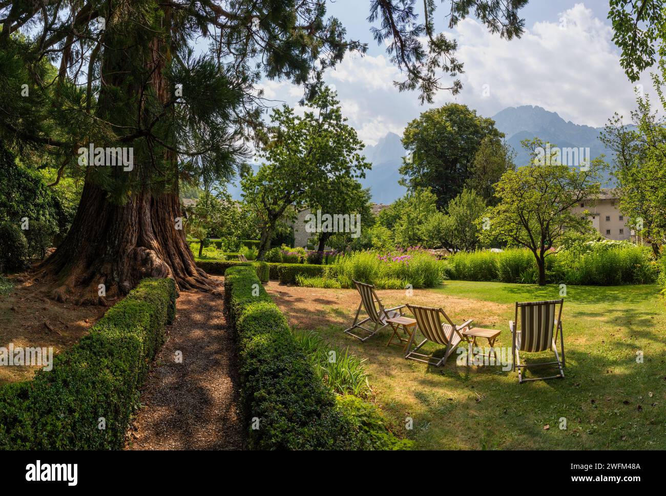 Der kleine Park im Dorf Soglio mit dem Sequoia-Baum - Bregaglia-Gebirge - Schweiz. Stockfoto