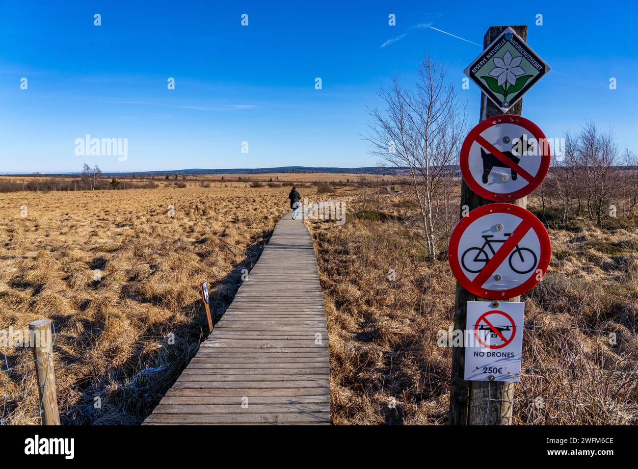 Das hohe Venn, Hochmoor, in der Region Eifel und Ardennen, Naturpark hohes Venn-Eifel, nordöstlich von Baraque Michel, Verbotsschilder, keine Fahrräder, Stockfoto