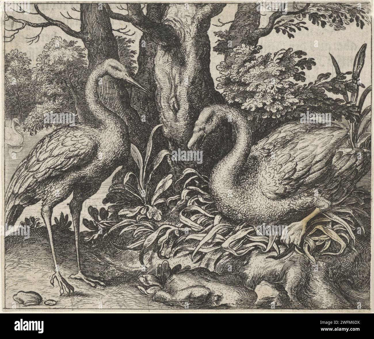 Fael van de zwan und ooievar, Aegidias Samelier (II), nach Marcus Ggoerts (i), drucken im Vordergrund einen Storch und einen Schwan. Die Fabel beschreibt, wie ein Storch einen sterbenden Schwan fragt, warum er am Ende seines Lebens noch so schön singen kann. Die Moral der Geschichte zeigt, dass der Tod kein trauriger Endpunkt ist, sondern ein freudiger Anfang. Prager Papiergravur / Buchdruck Fabeln. Ufer- und Watvögel: Störche. Wasservögel: schwan Stockfoto