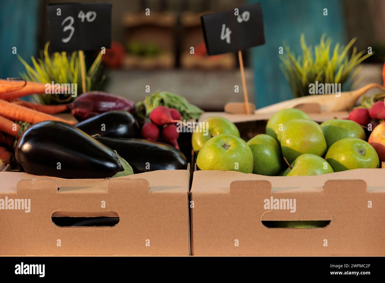 Verschiedene Biobauern vermarkten lokal angebaute Produkte, reifes Obst und Gemüse aus natürlichem Anbau. Saisonale Bio-frische Auberginen, Karotten und saftige süße Äpfel in Boxen. Ökologischer Landbau. Stockfoto