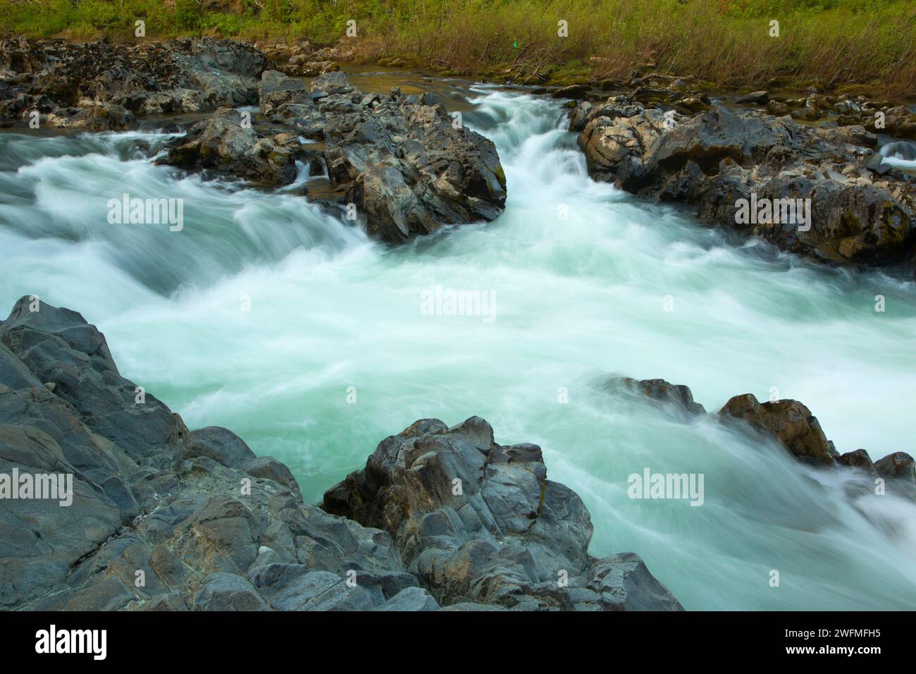 Little Falls entlang wenig Falls Trail, Illinois Wild and Scenic River, Siskiyou National Forest, Oregon Stockfoto