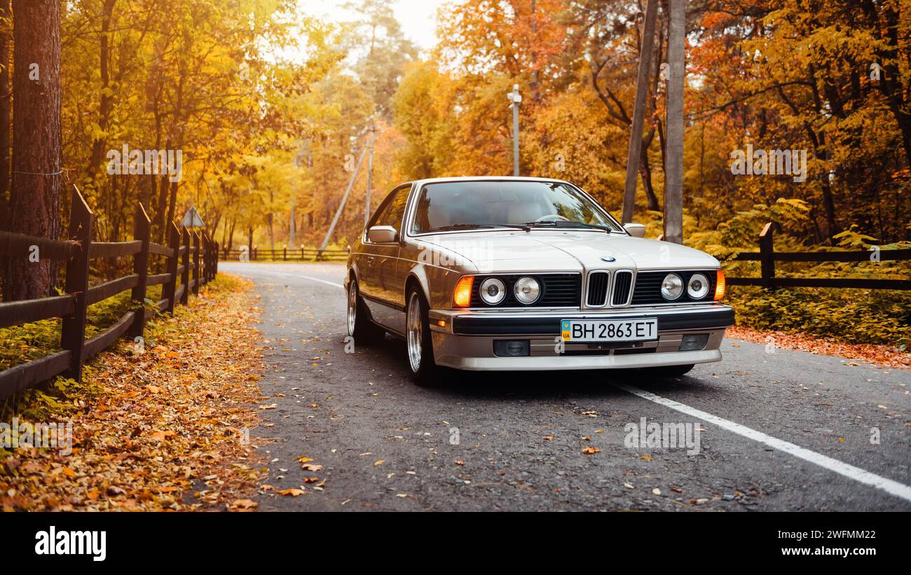 Silber Classic BMW 6er E24 Coupé. Vorderansicht des 1980er Jahre „Sharknose“ BMW mit runden Scheinwerfern am goldenen Herbsttag im Wald Stockfoto