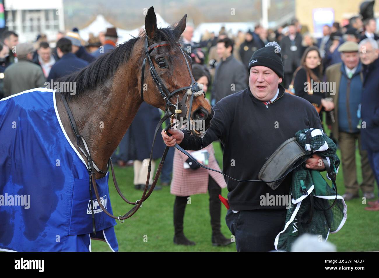 Rennen 19 15:35 Uhr der Gewinner des McCoy Contractors Cleeve Hürdle Race, Noble Yeats Horse Racecourse auf der Cheltenham Racecourse, Prestbury Park on Festival Stockfoto